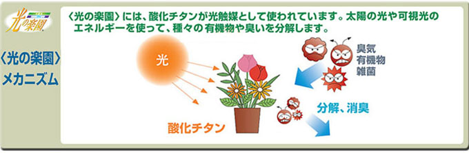 1650円 選択 アートフラワー 光触媒造花 光の楽園 ハッピーパール