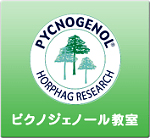 ピクノジェノール教室