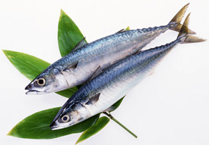オメガＲｘ(高純度EPA・DHA)の原料、青魚、サバなど